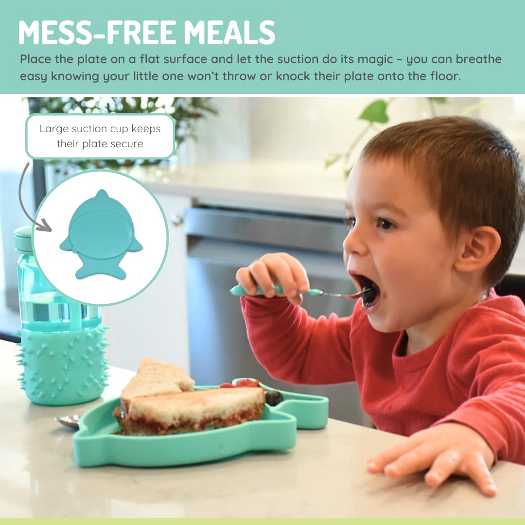 Melii Silicone Divided Plate - 6 to 24 Months