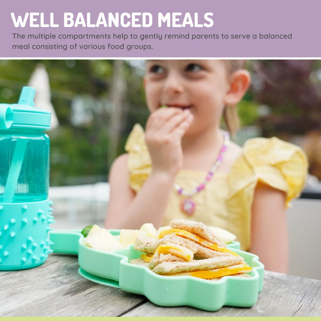 Melii Silicone Divided Plate - 6 to 24 Months