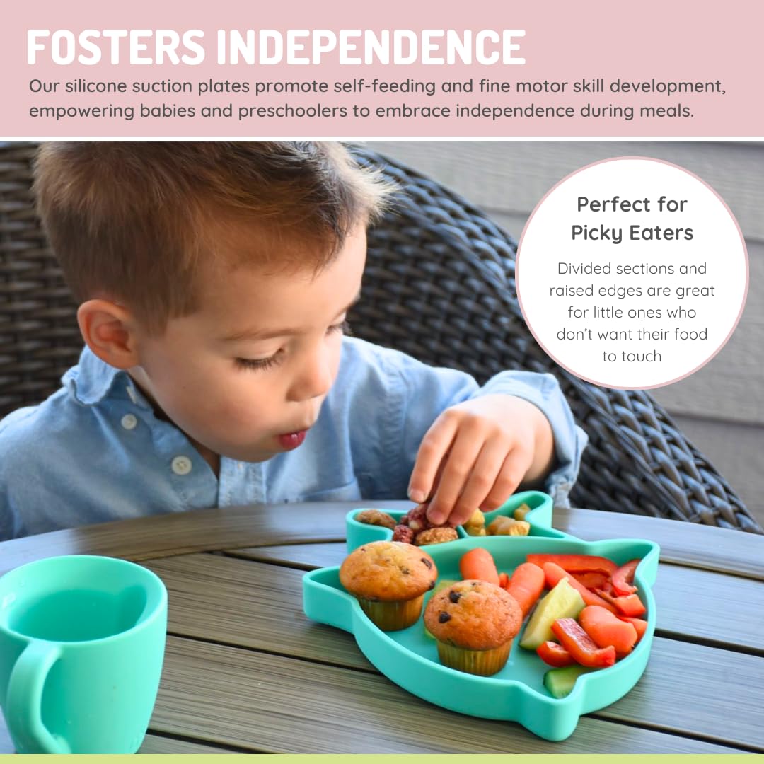 Melii Silicone Divided Plate - 6 to 24 Months
