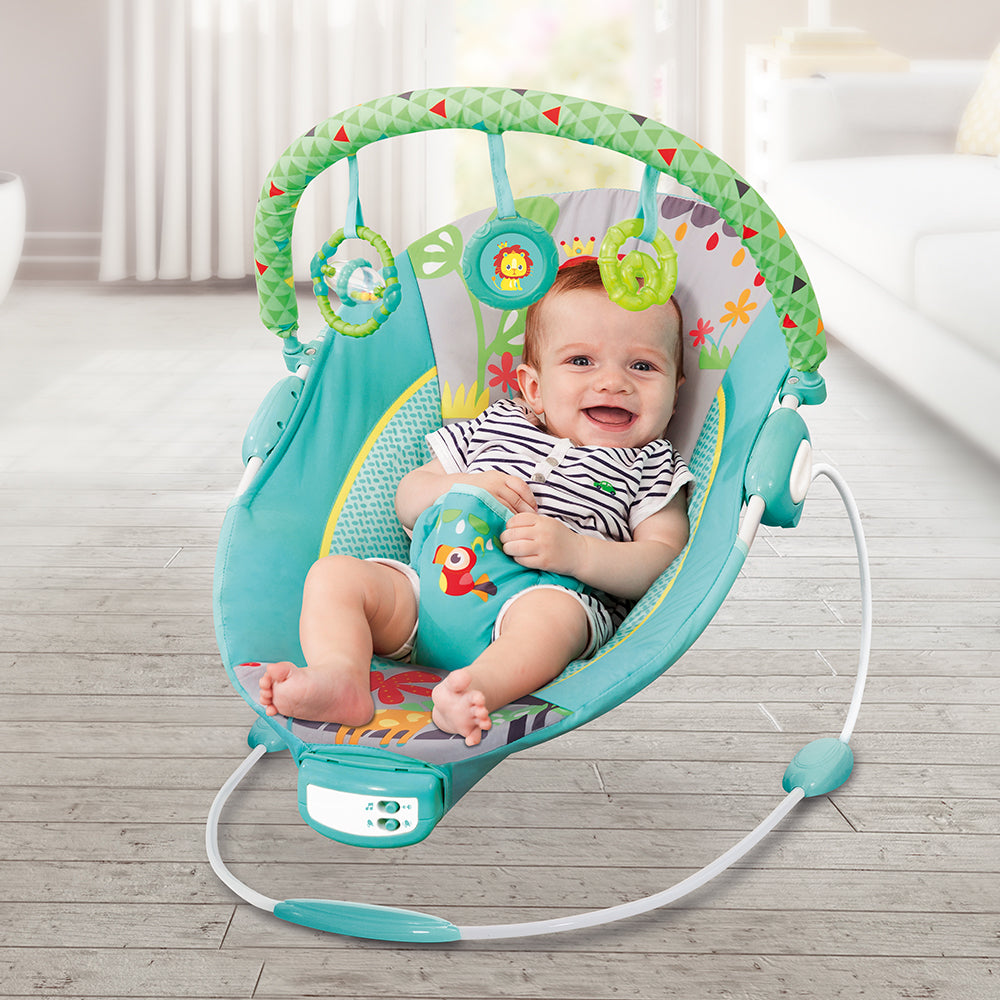 Mastela Music Vibrations Bouncer - Birth to 6M Open Box