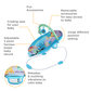 Mastela Music Vibrations Bouncer - Birth to 6M Open Box