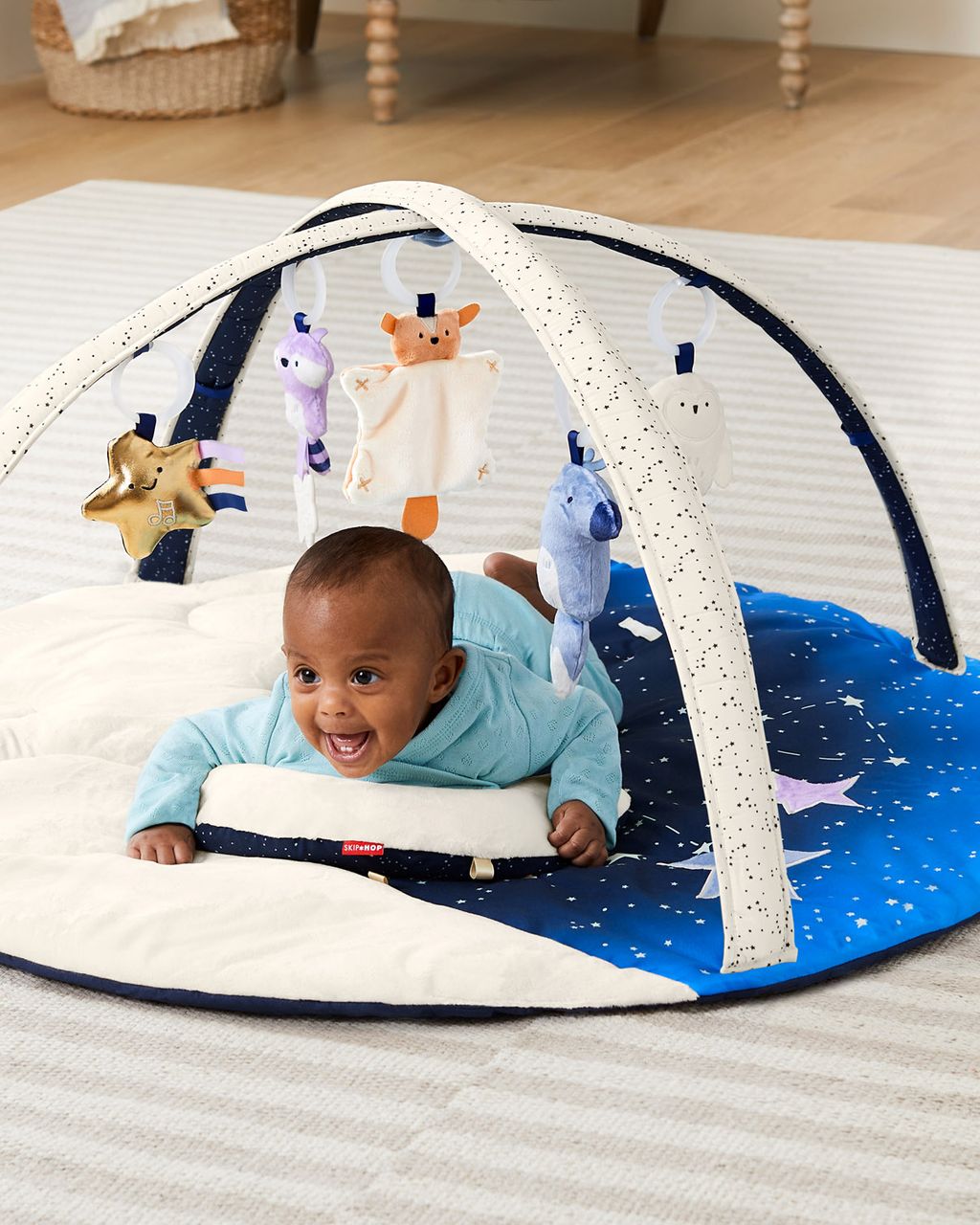Skip Hop Celestial Dreams Activity Gym (Birth to 24 Months)