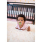 Dr. Brown Pink & Gray PreVent Printed Shield Soother || Stage-1 || Pack of 2 || Birth+ to 6months