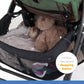 Joie Muze Lx Travel System with Juva || Fashion-Laurel || Birth+ to 36months - Toys4All.in